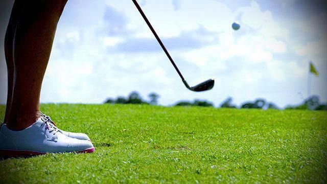 What Makes The Good Golf Blueprint Alternative from Other Golf Books